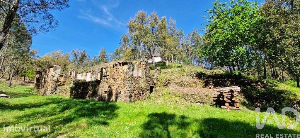 Quinta em Castelo - Grande imagem: 4/40