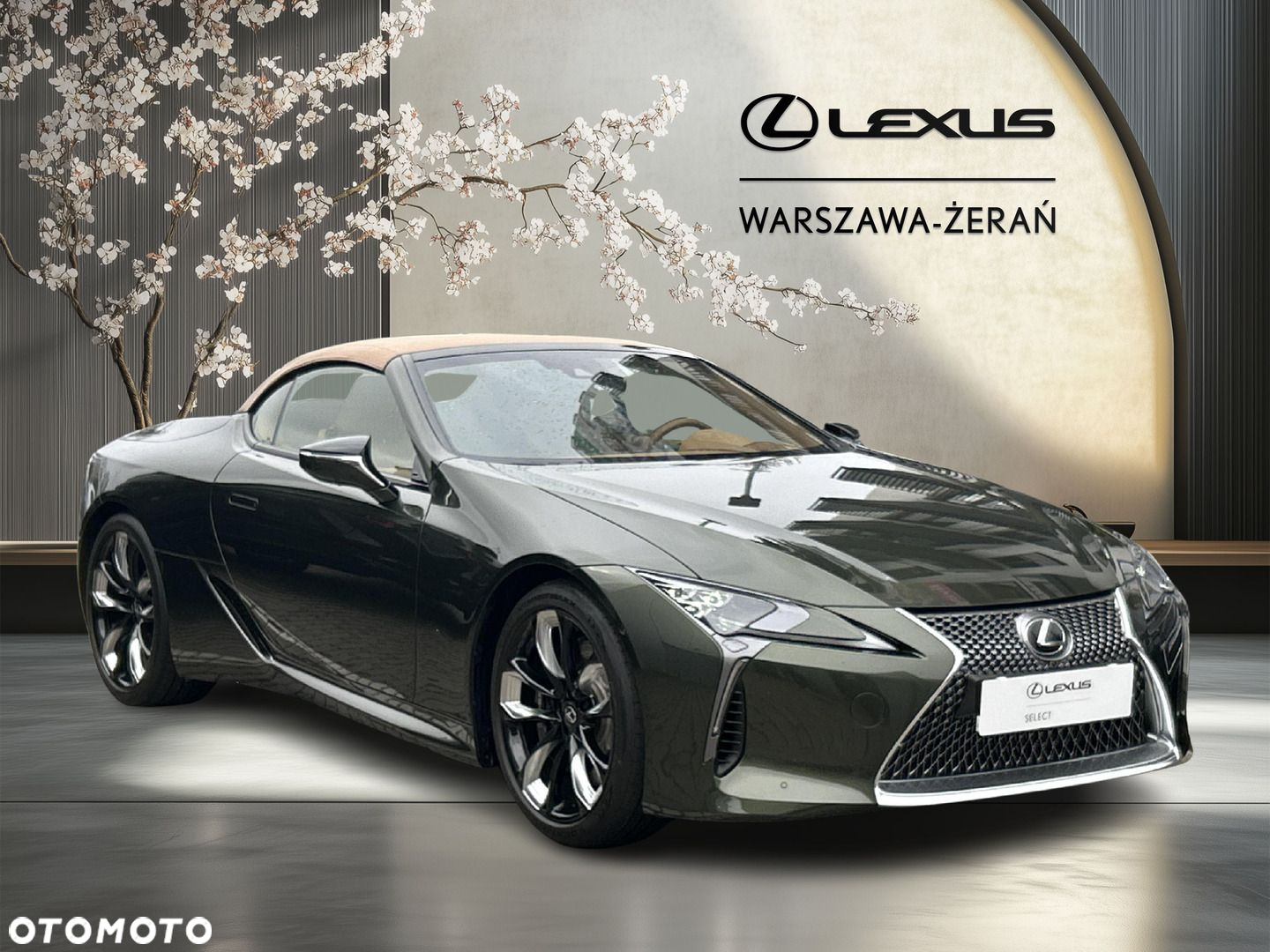 Lexus LC 500 Superturismo - 9