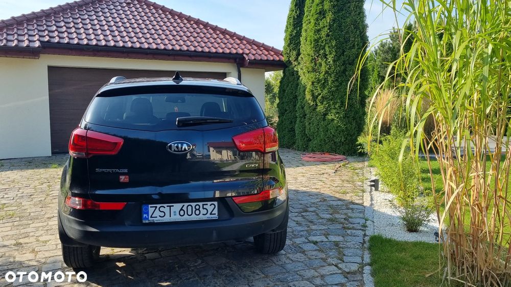 Kia Sportage - 6