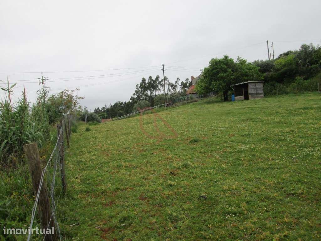 Terreno para construção/Ourém/Atouguia - Grande imagem: 2/8
