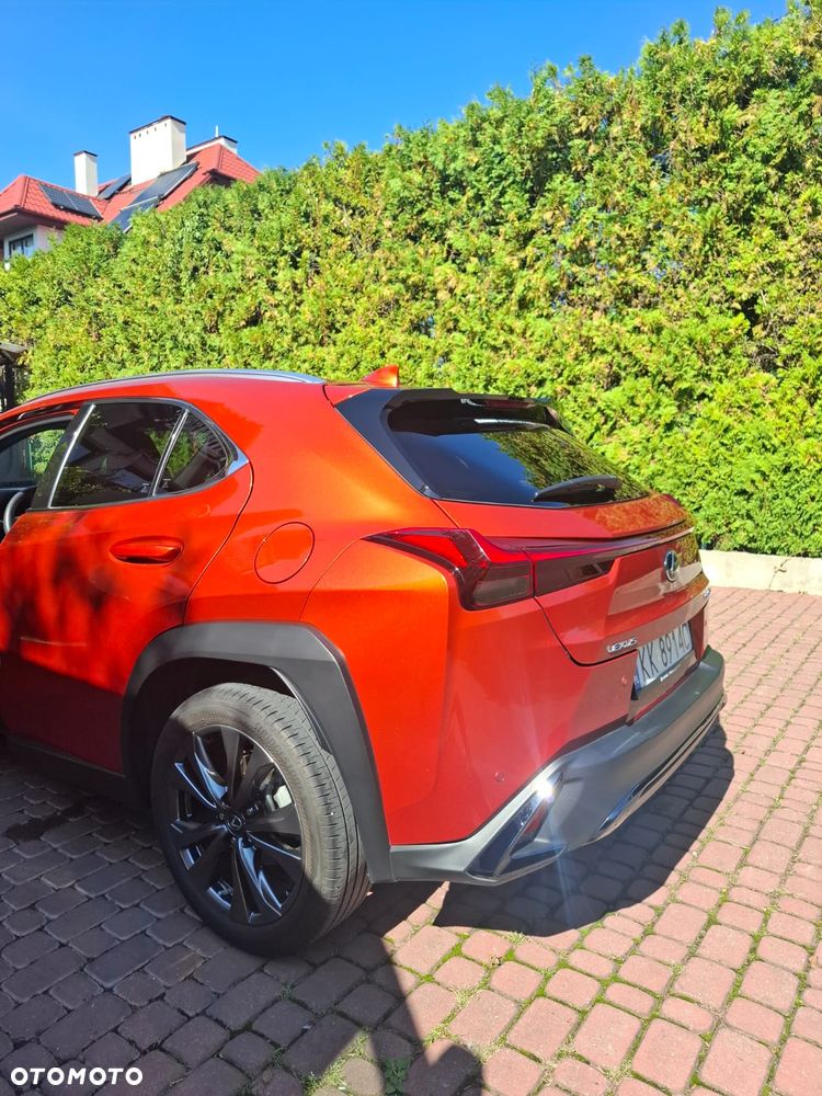 Lexus UX - 18