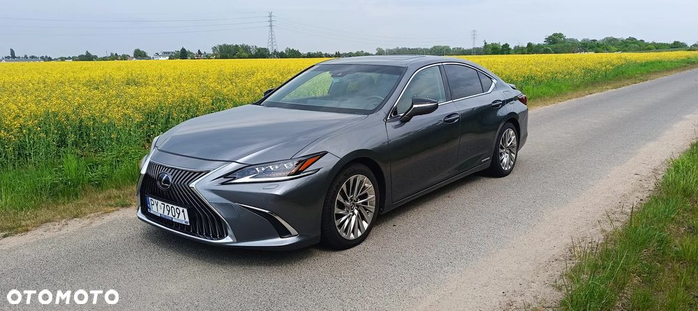 Lexus ES 300h Luxury Line - 1