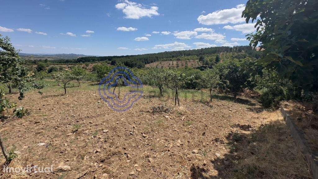 Quintinha T3 em Redondelo com 1338 m2 de terreno - Grande imagem: 3/36