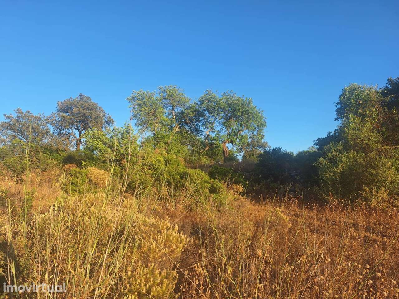 Terreno rústico - Grande imagem: 4/13