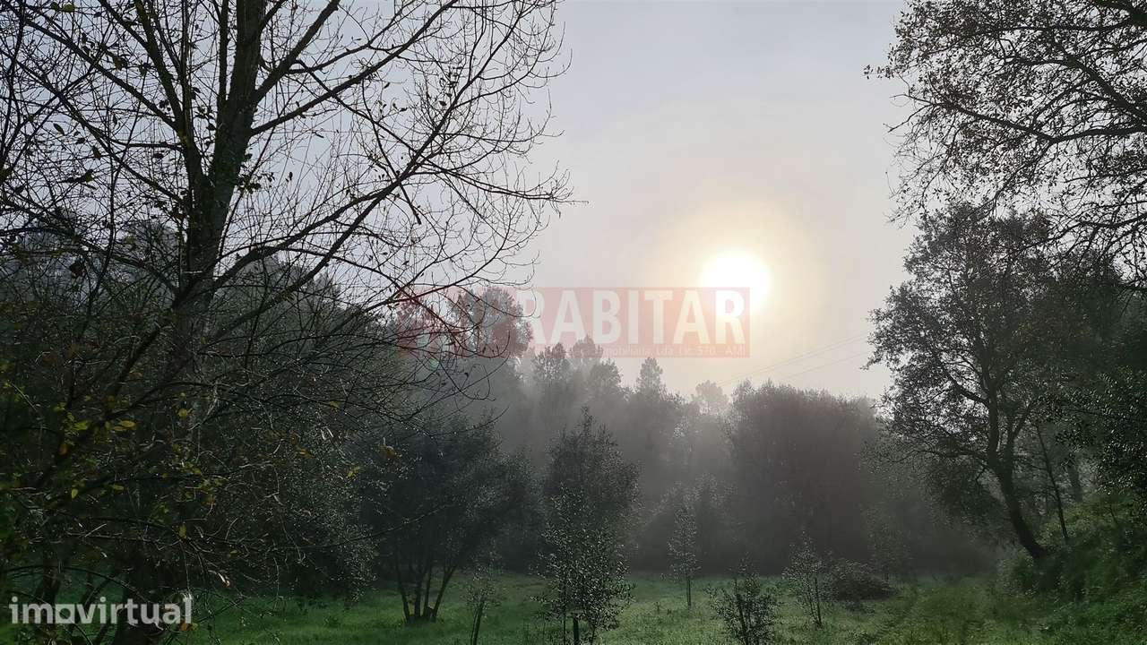 TERRENO EM ZONA HABITACIONAL COM 7.460M2 - Grande imagem: 2/5