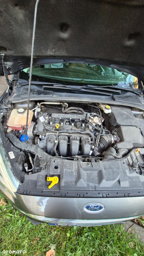 Ford Focus - 6