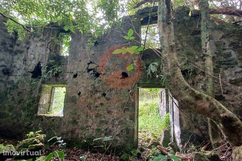 Venda Terreno - Grande imagem: 5/15