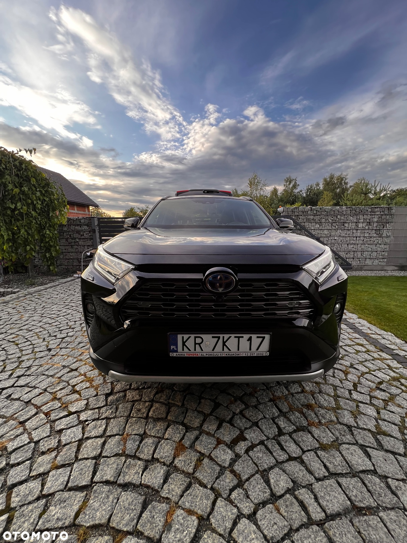 Toyota RAV4 2.5 Hybrid Executive 4x4 - 17