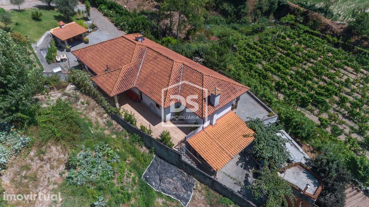 Quinta com Vinha e Produção de Vinho – Freixo de Baixo, Amarante - Grande imagem: 3/40