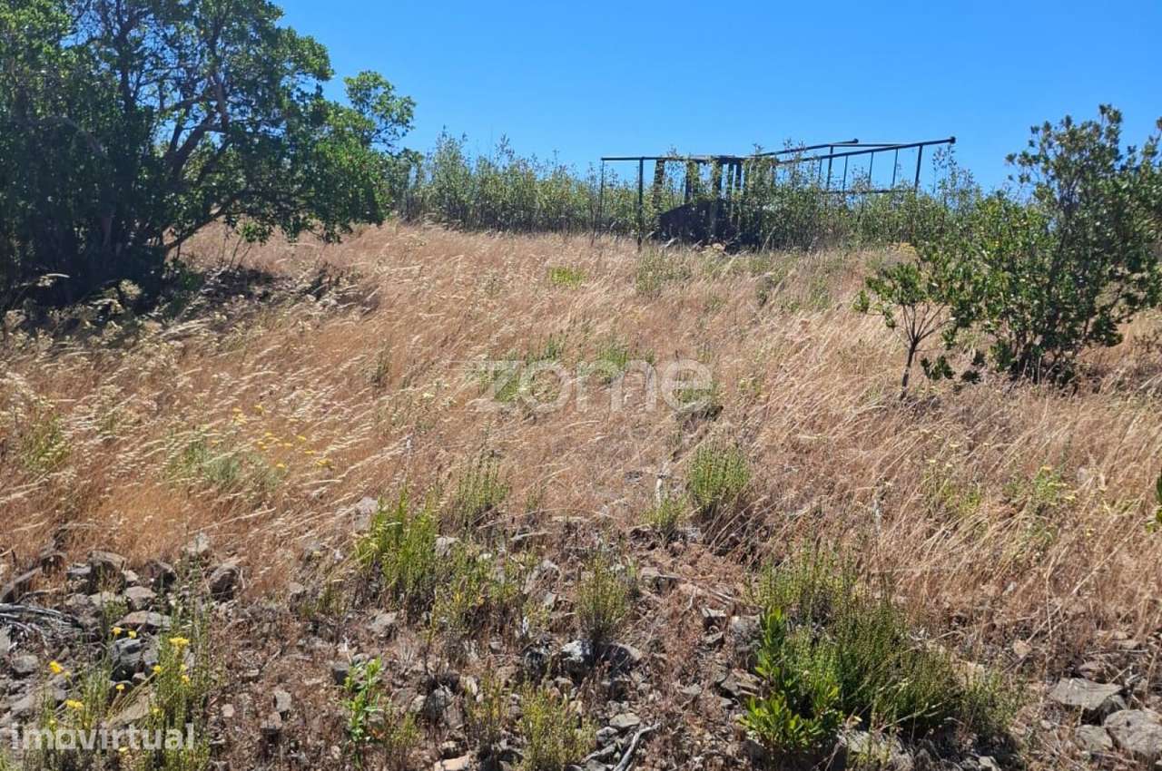 Terreno Rústico com 200.000m2 em Vale das Urzes, Salir - Grande imagem: 4/18