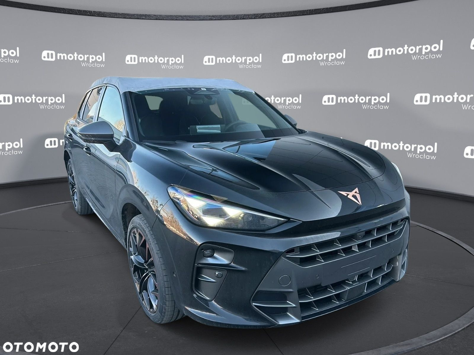 Cupra Terramar - 12