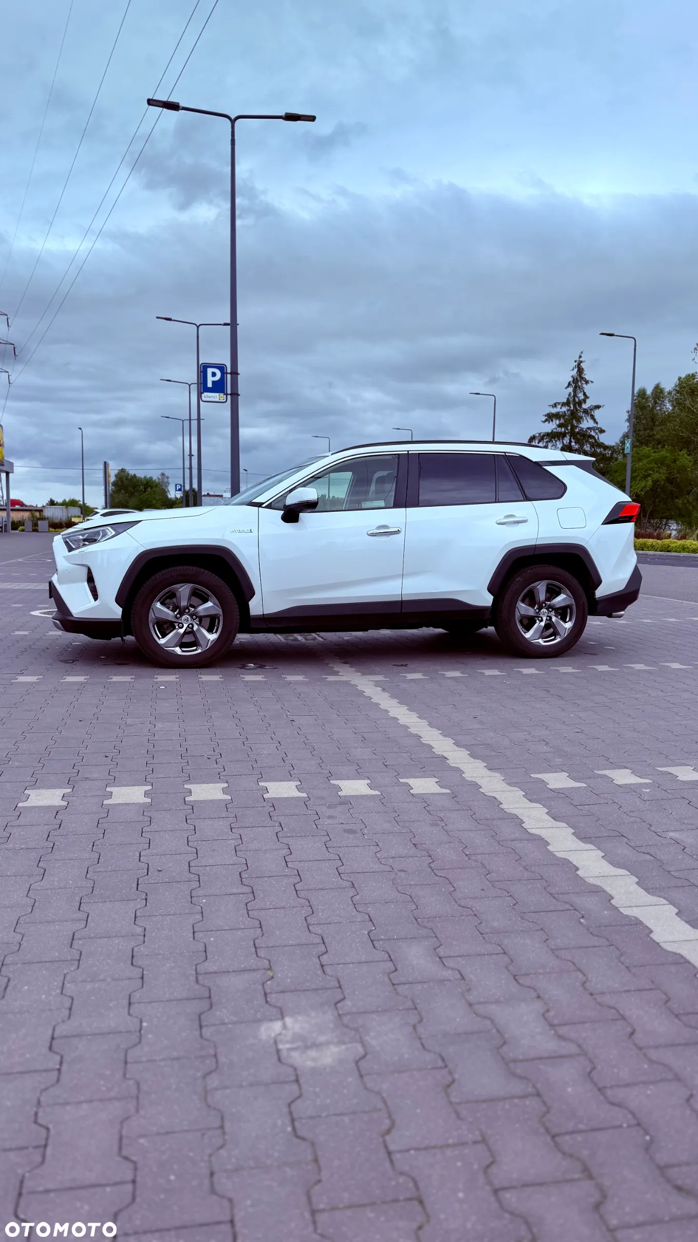 Toyota RAV4 2.5 Hybrid Executive 4x2 - 5