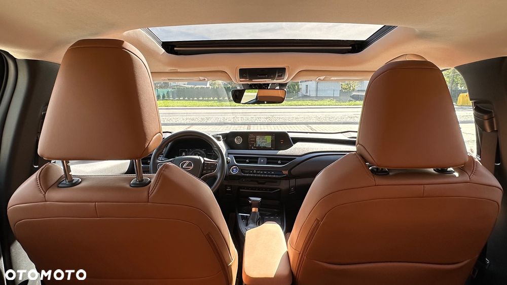 Lexus UX 250h GPF Prestige AWD - 15