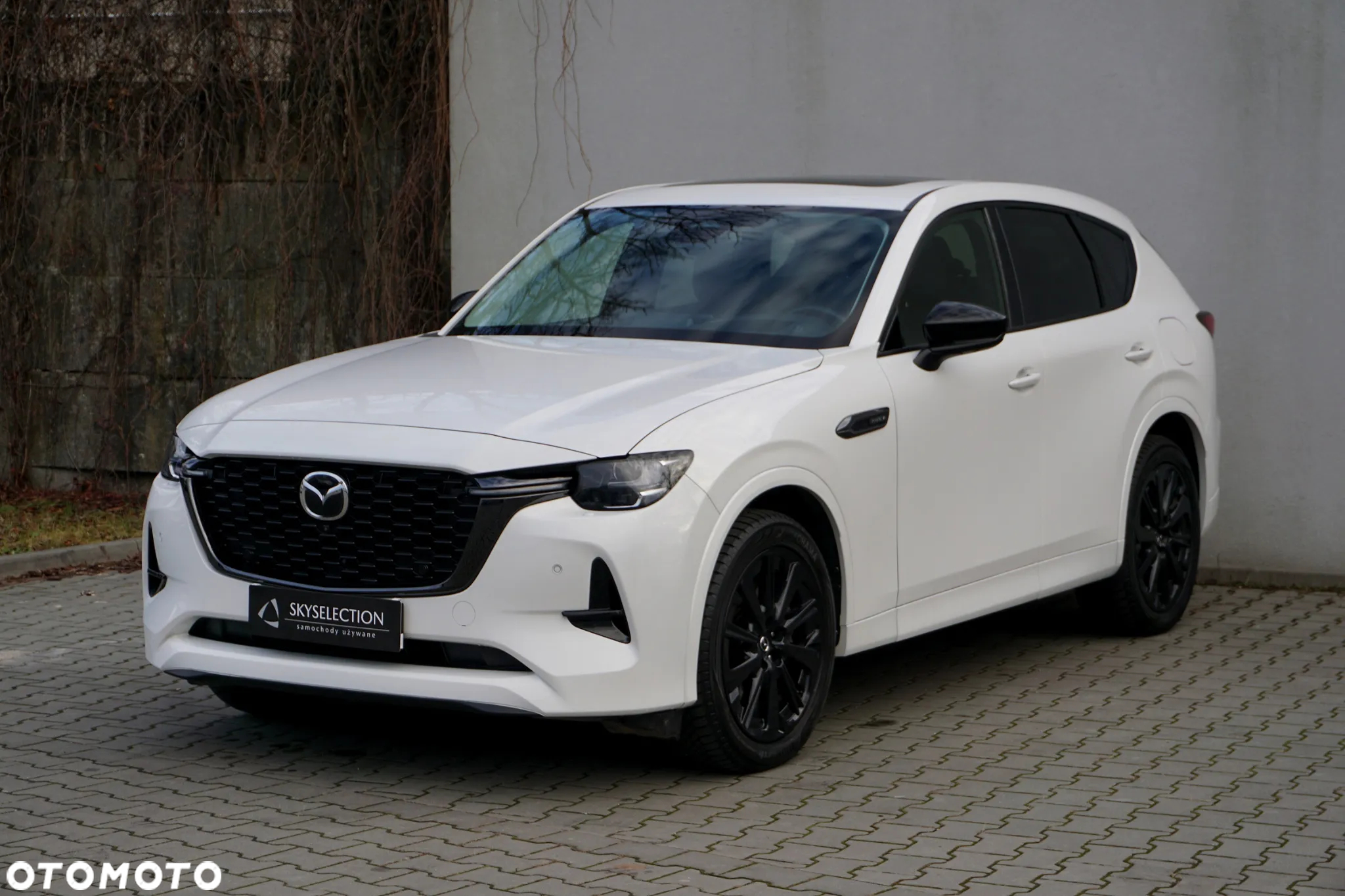 Mazda CX-60 2.5 PHEV Homura AWD - 3