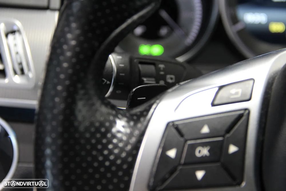 Mercedes-Benz E 250 BlueTEC Avantgarde Auto. - 15