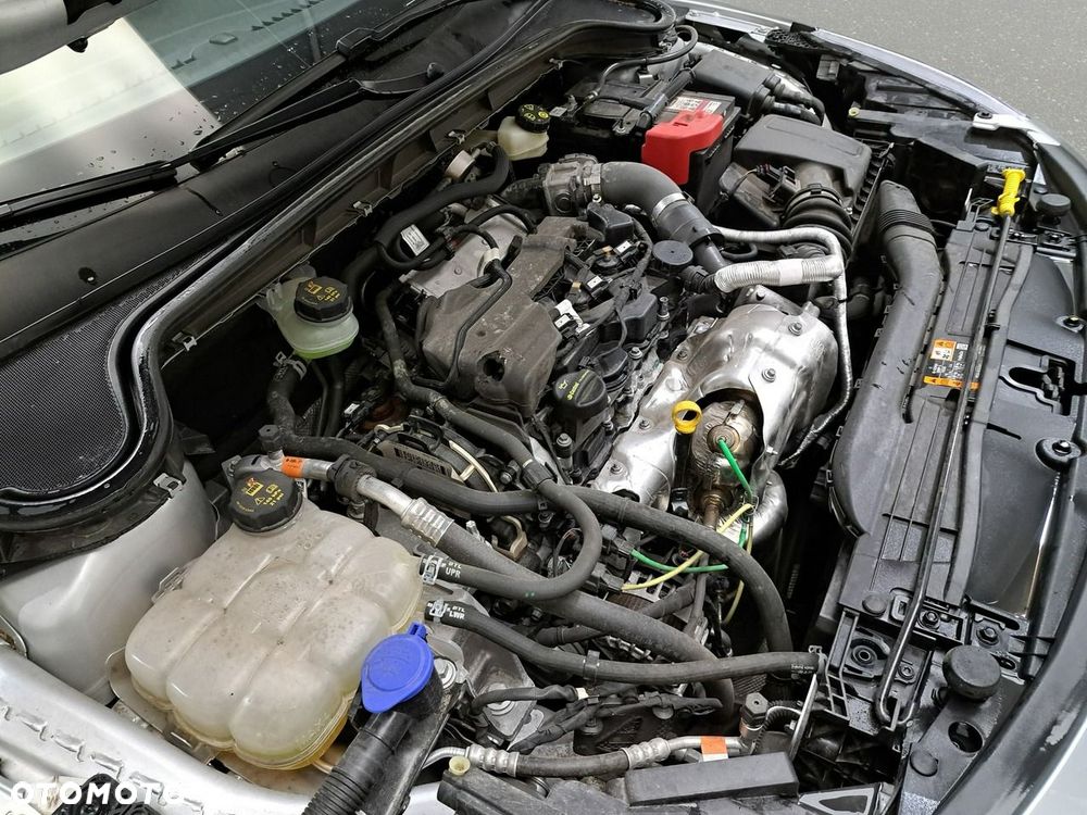 Ford Focus - 14