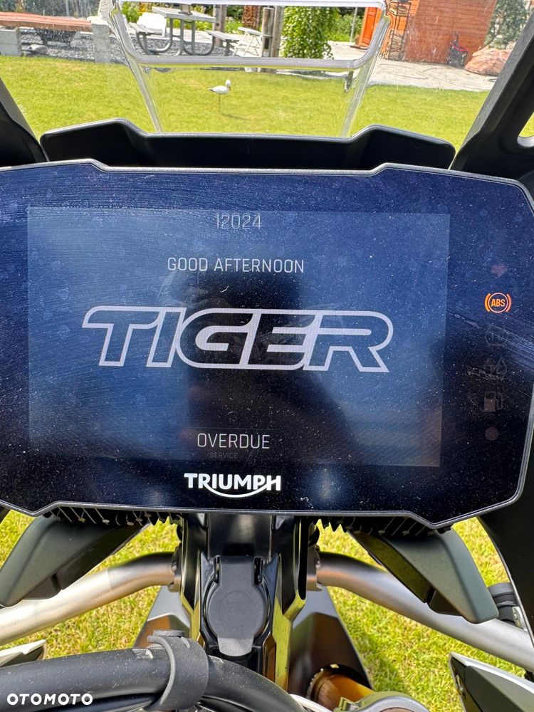 Triumph Tiger - 14