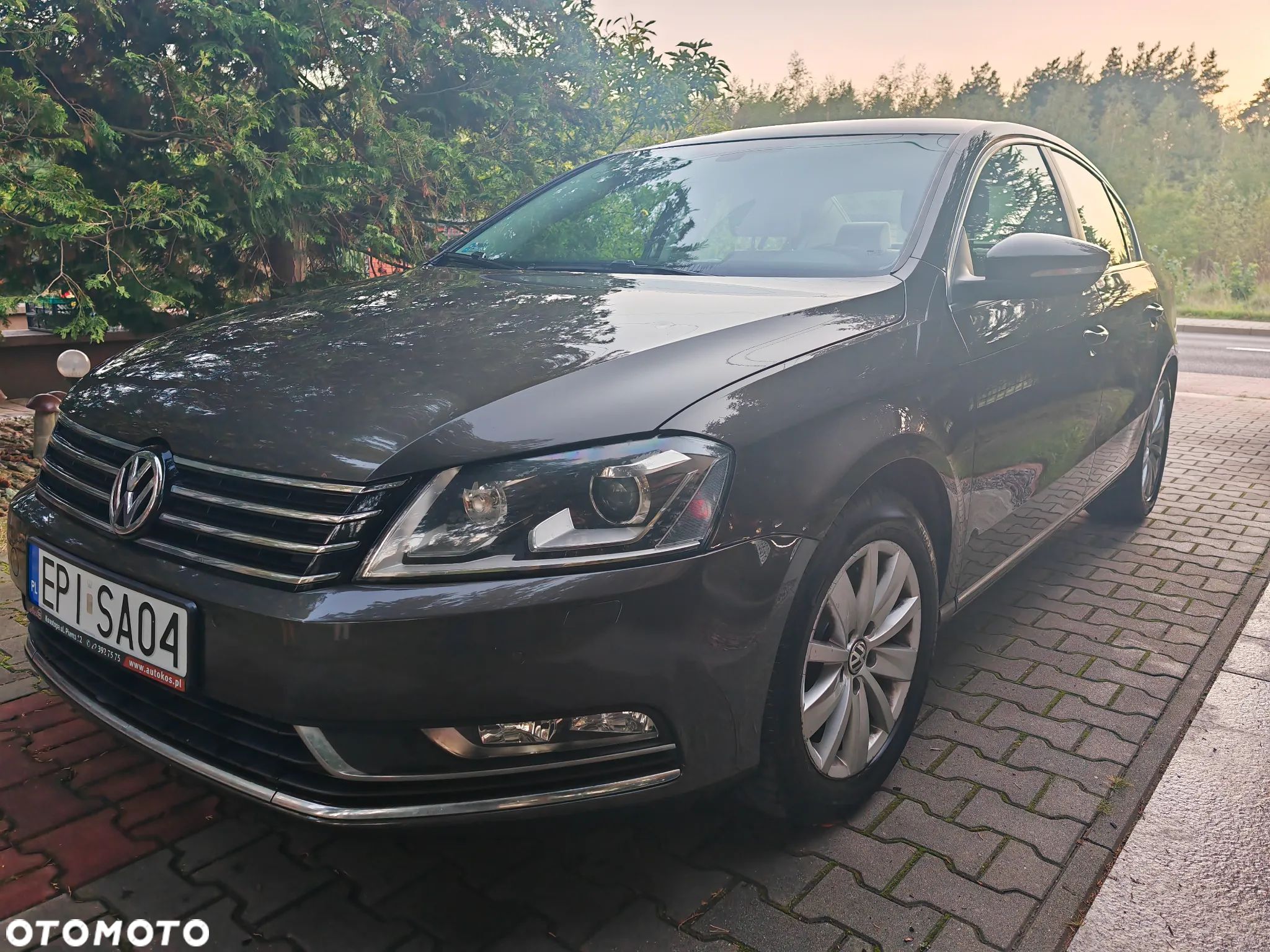 Volkswagen Passat - 1