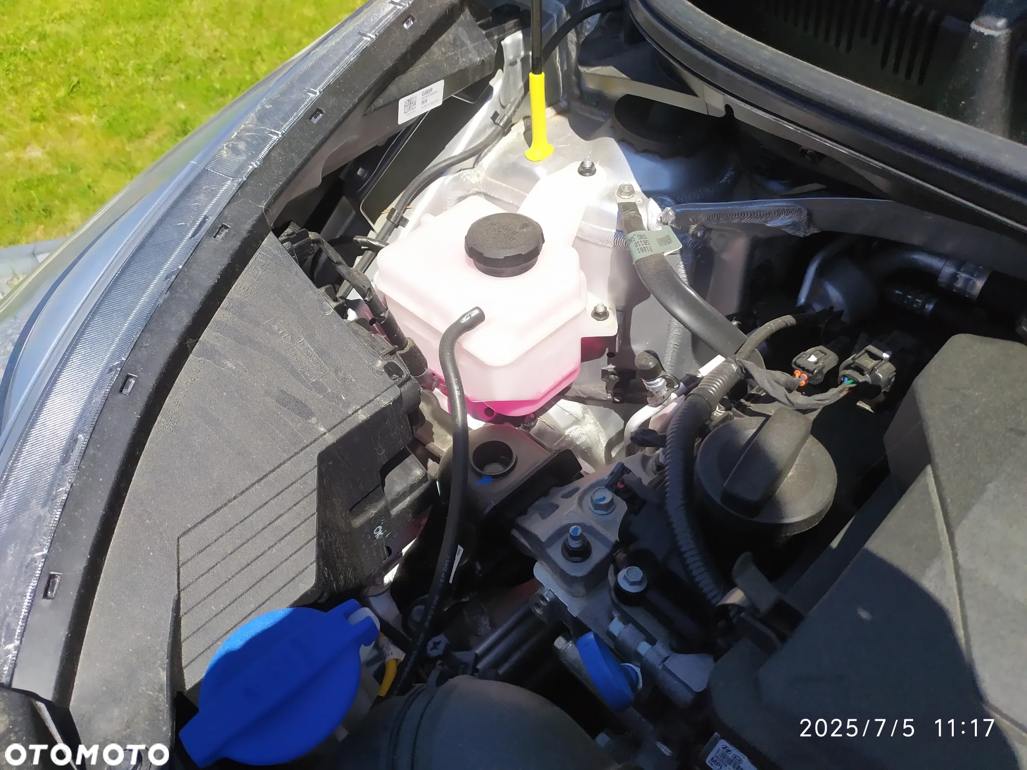 Kia Picanto 1.0 Dream-Team Edition - 12