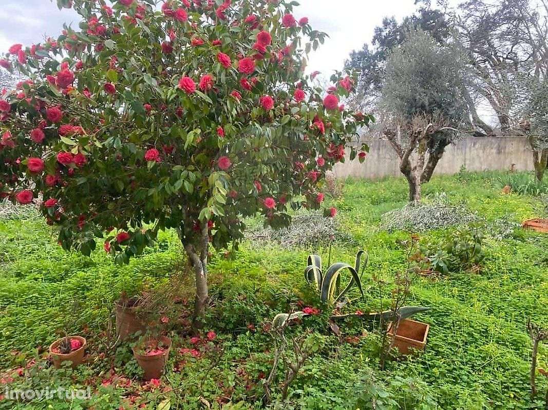 Moradia T3 para venda - Grande imagem: 3/6