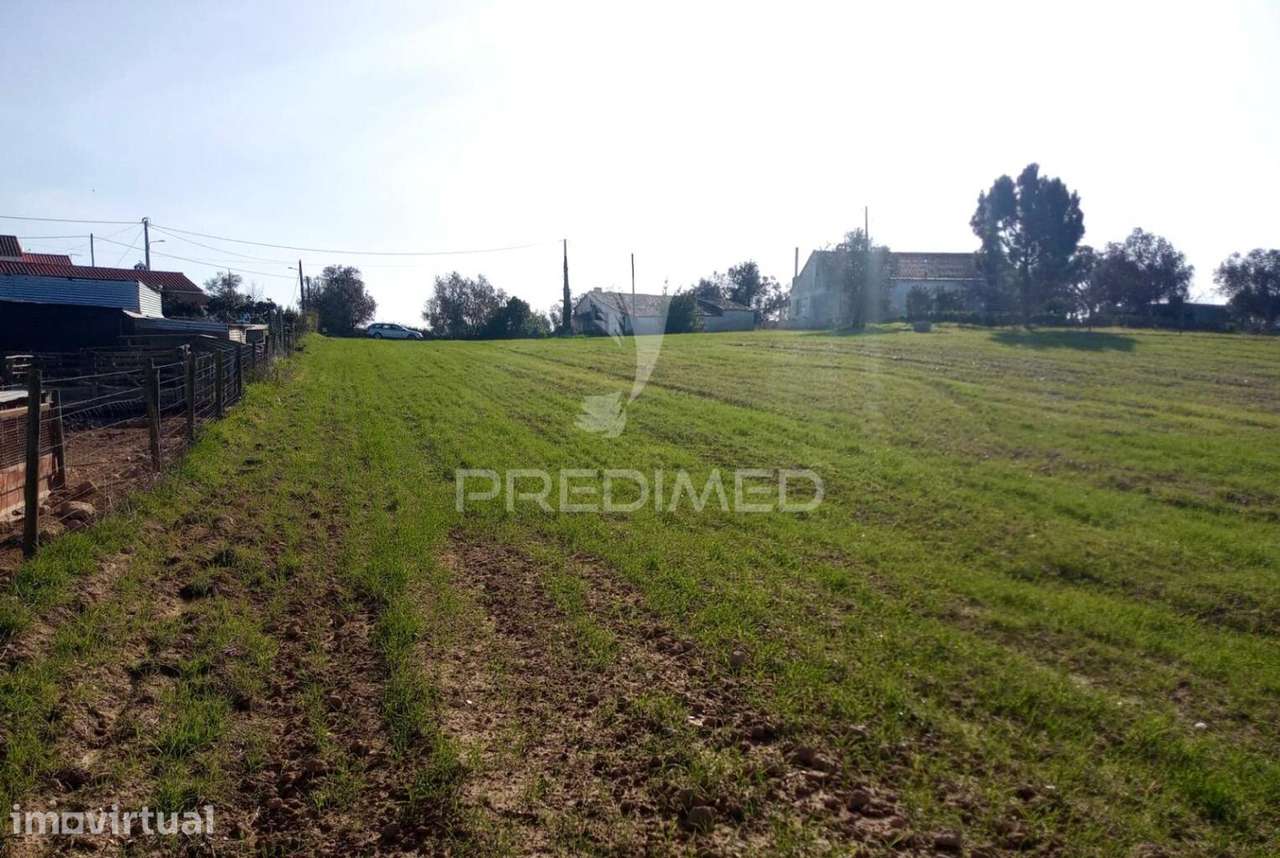 Terrreno com 5250 m2, com casa para recuperar - Grande imagem: 3/14