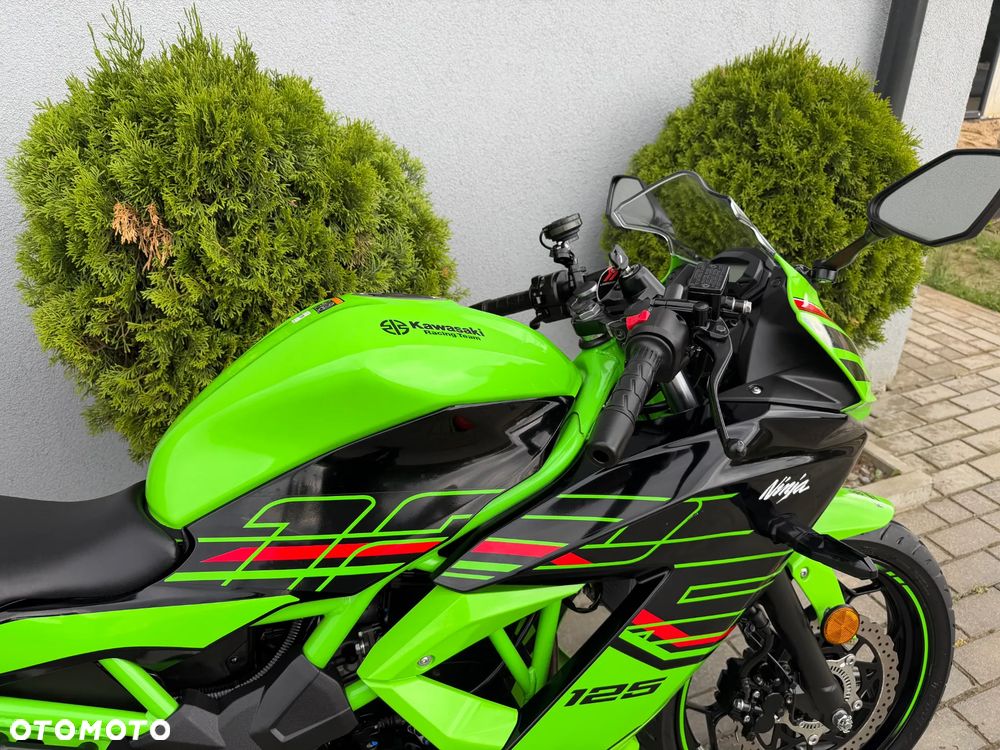 Kawasaki Ninja - 13