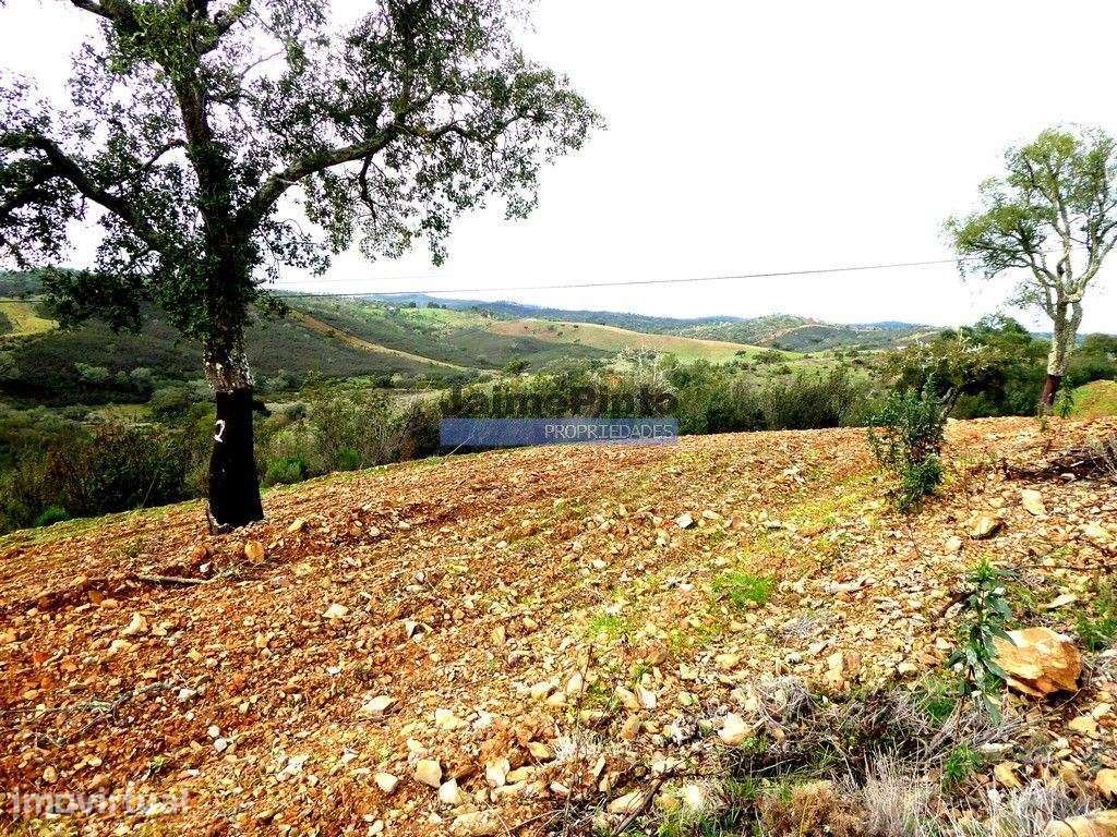 220 ha, CORTIÇA, CASA, Serra do Caldeirão. Portugal, Beja, Almodôvar. - Grande imagem: 5/9