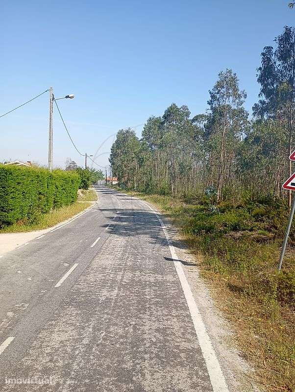 Terreno  para venda - Grande imagem: 3/5
