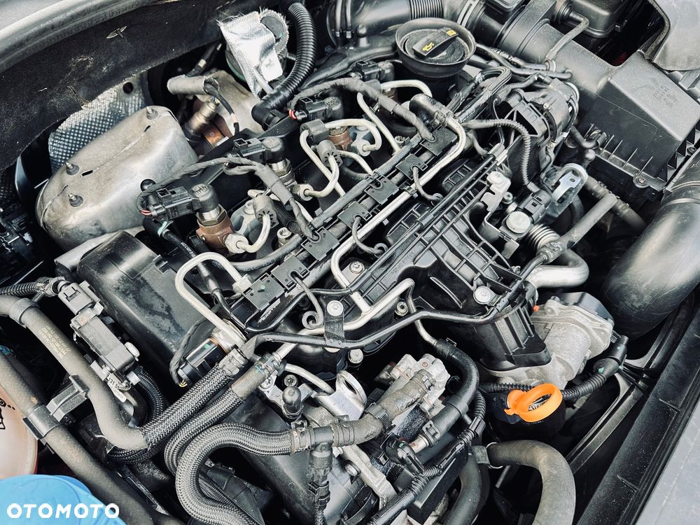Volkswagen Golf 1.6 TDI DPF Highline - 31