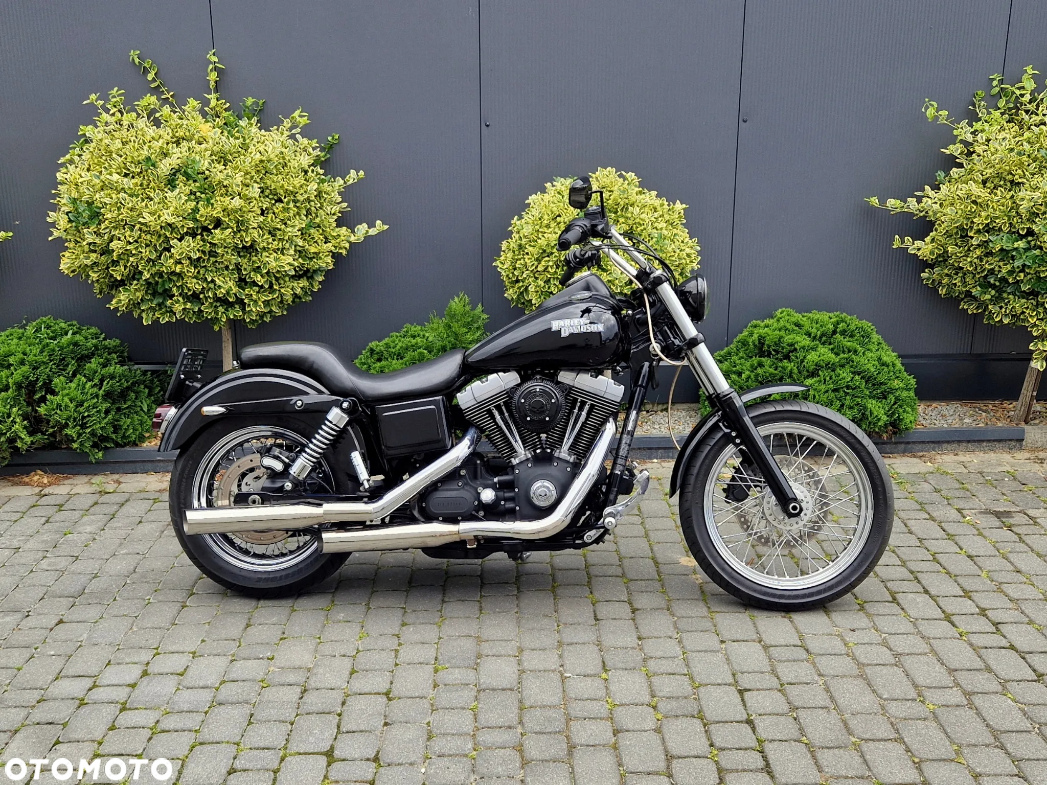 Harley-Davidson Dyna Street Bob - 4