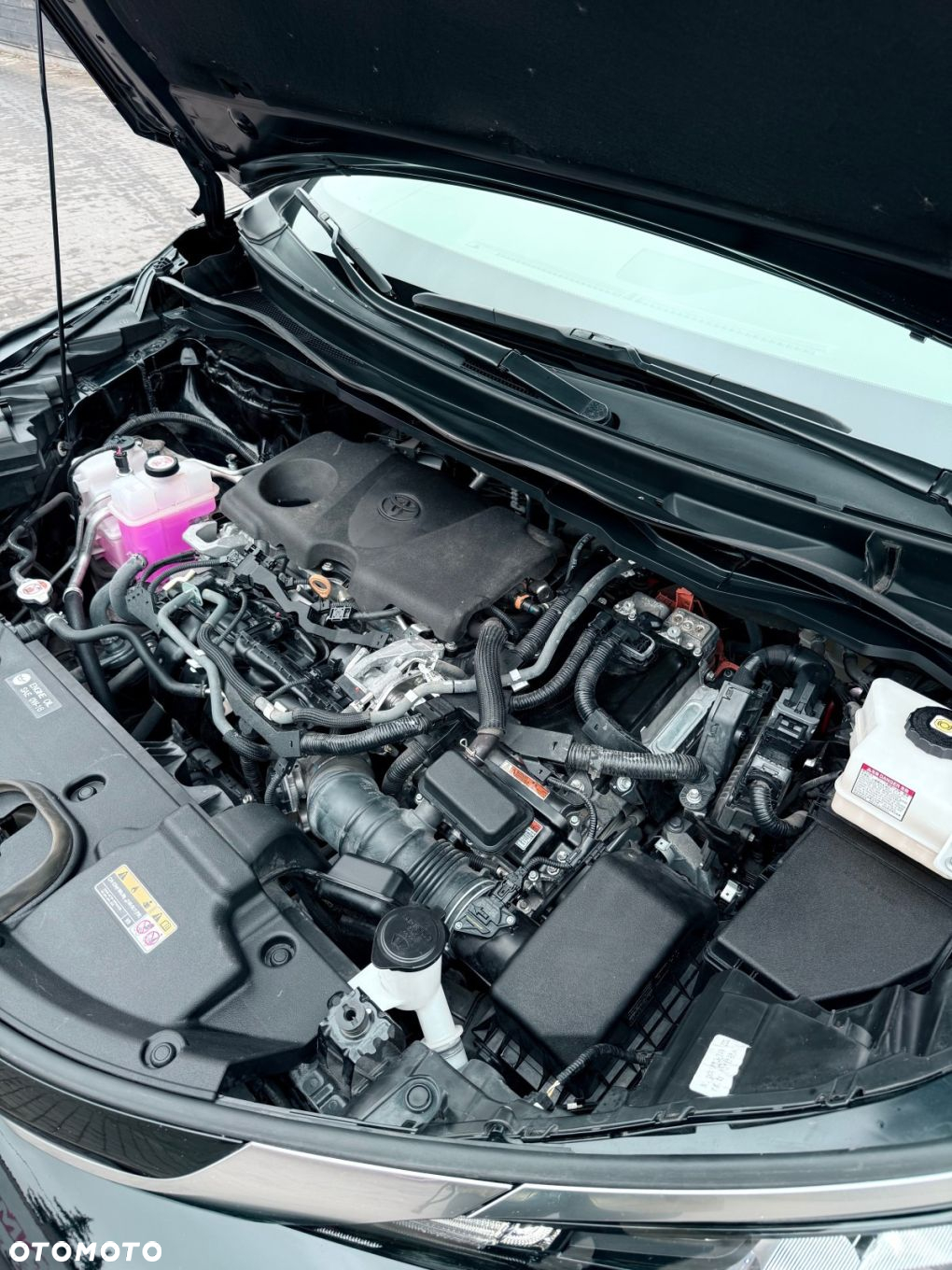 Toyota Sienna - 6