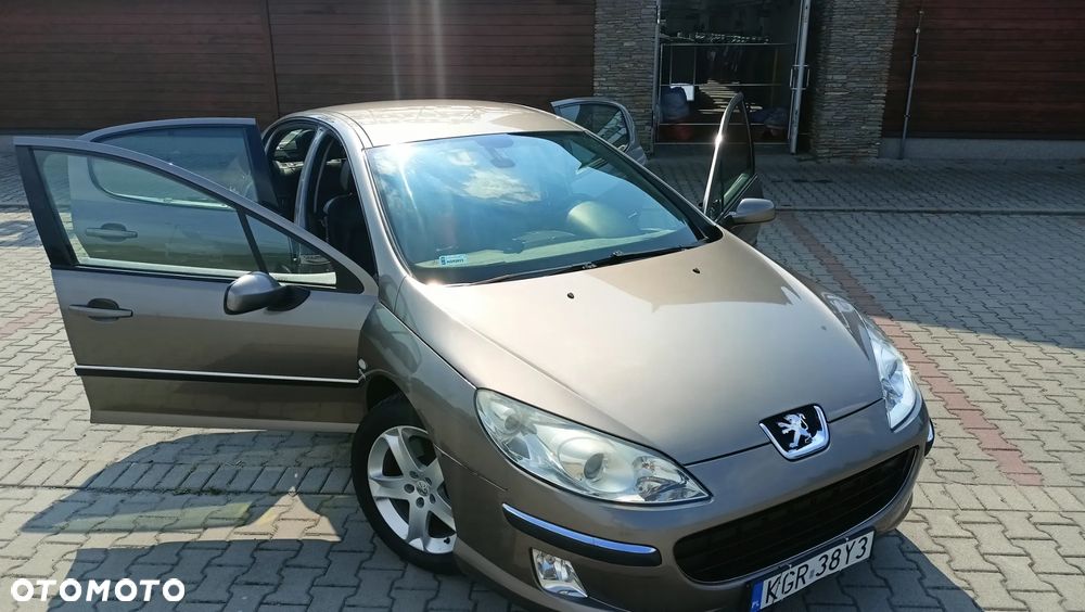 Peugeot 407 - 6