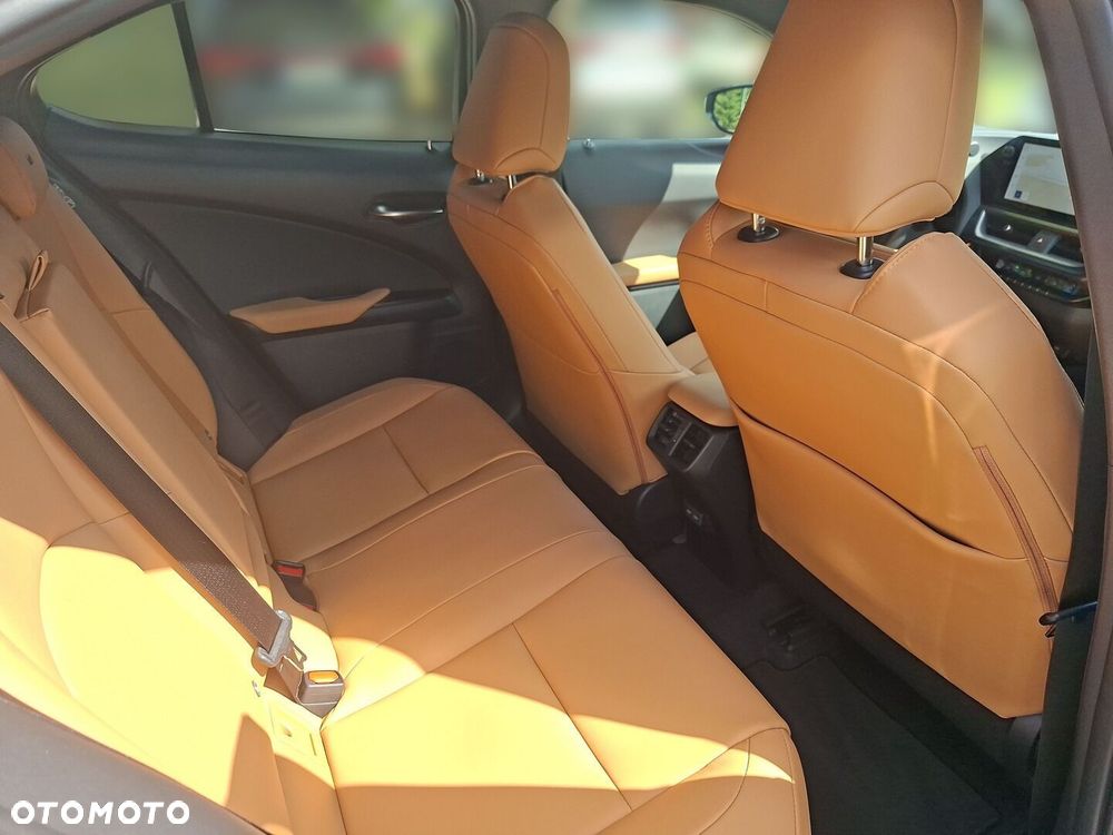 Lexus UX 300h F Sport Design - 21