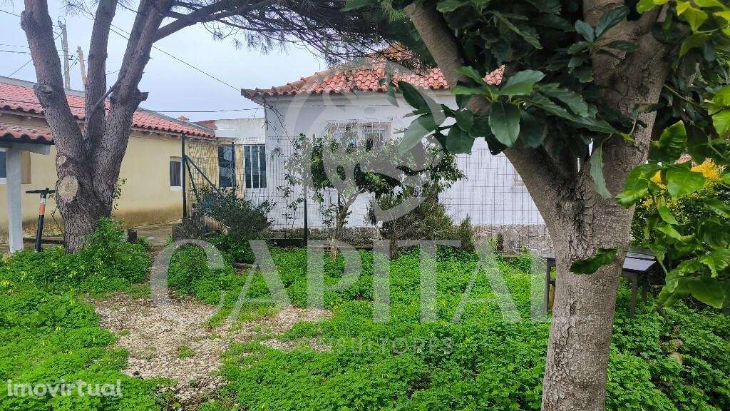 Oportunidade de Investimento Imobiliário – Albarraque | Sintra - Grande imagem: 5/13