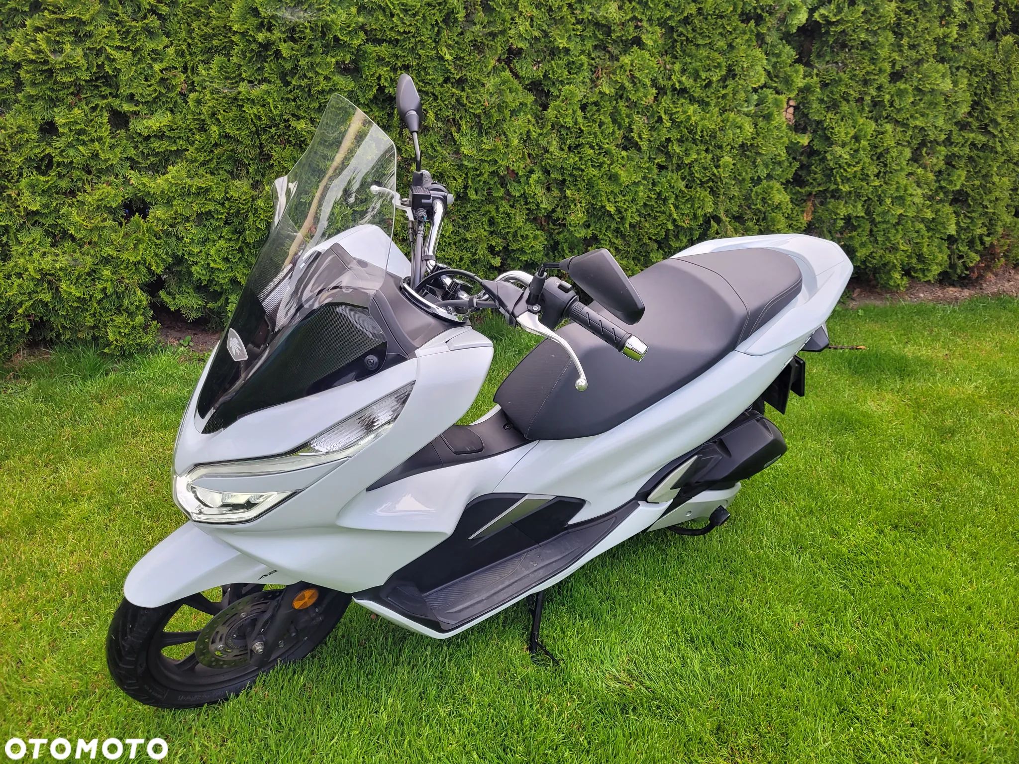 Honda PCX - 1
