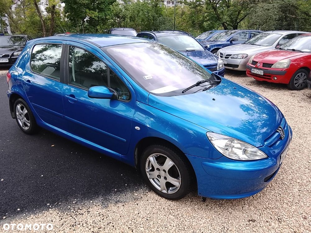 Peugeot 307 - 5