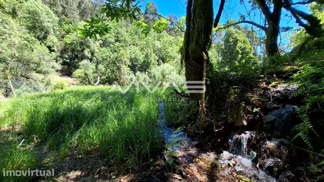 Moradia para Restaurar T0 Venda em Vilar da Veiga,Terras de Bouro - Grande imagem: 4/33