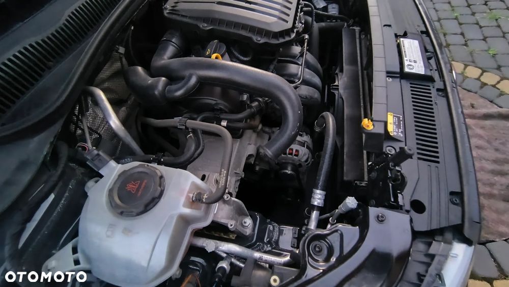 Volkswagen Polo - 19