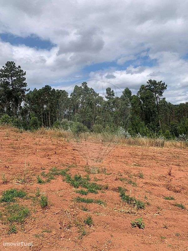 Terreno  para venda - Grande imagem: 5/16