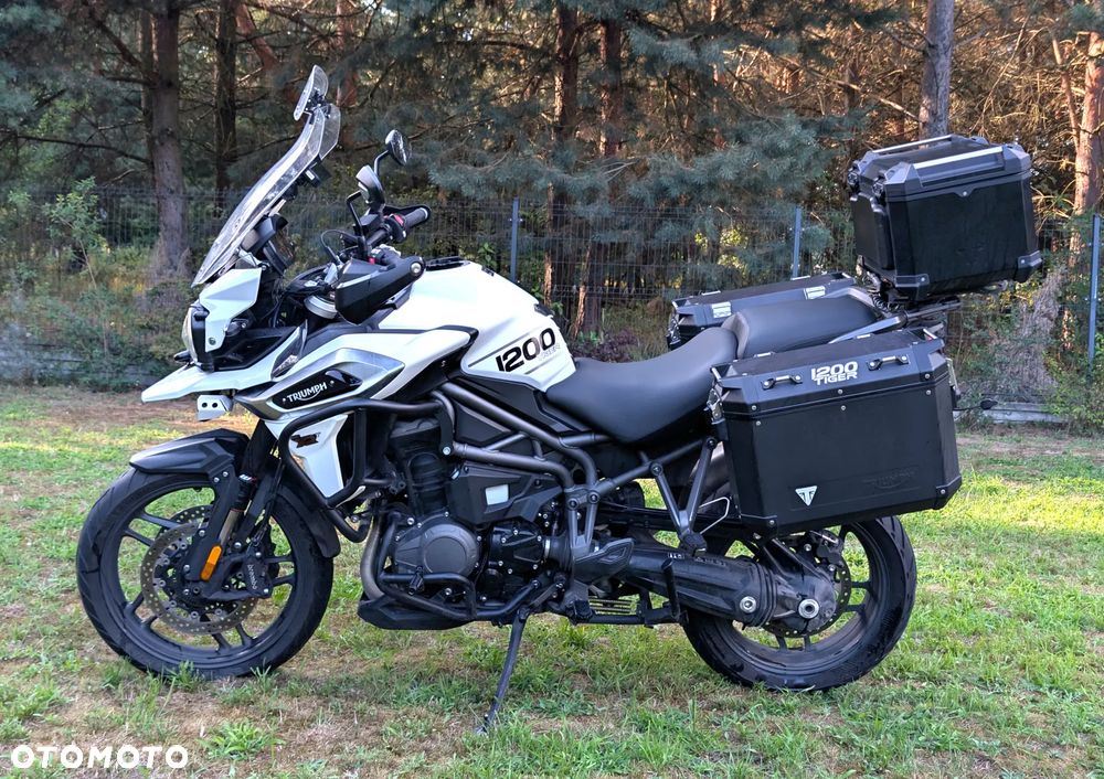 Triumph Tiger - 2