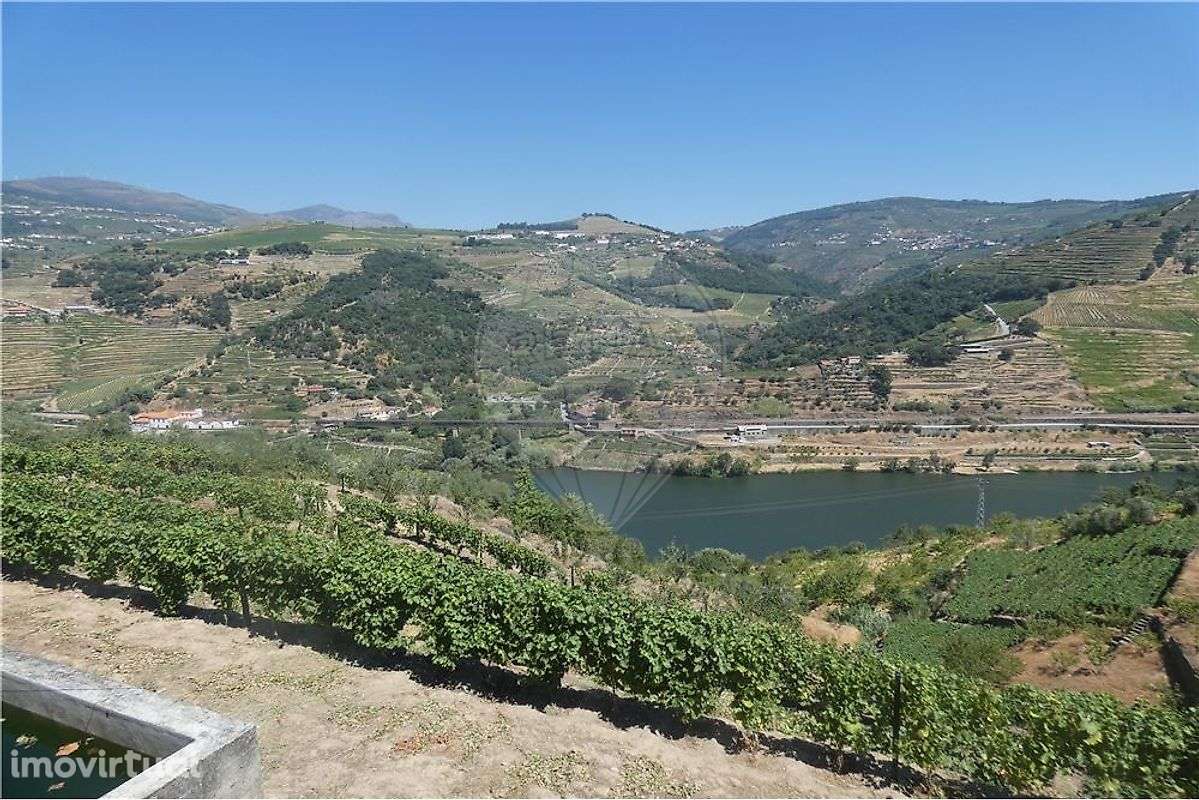 Terreno com vistas Douro - Grande imagem: 2/9