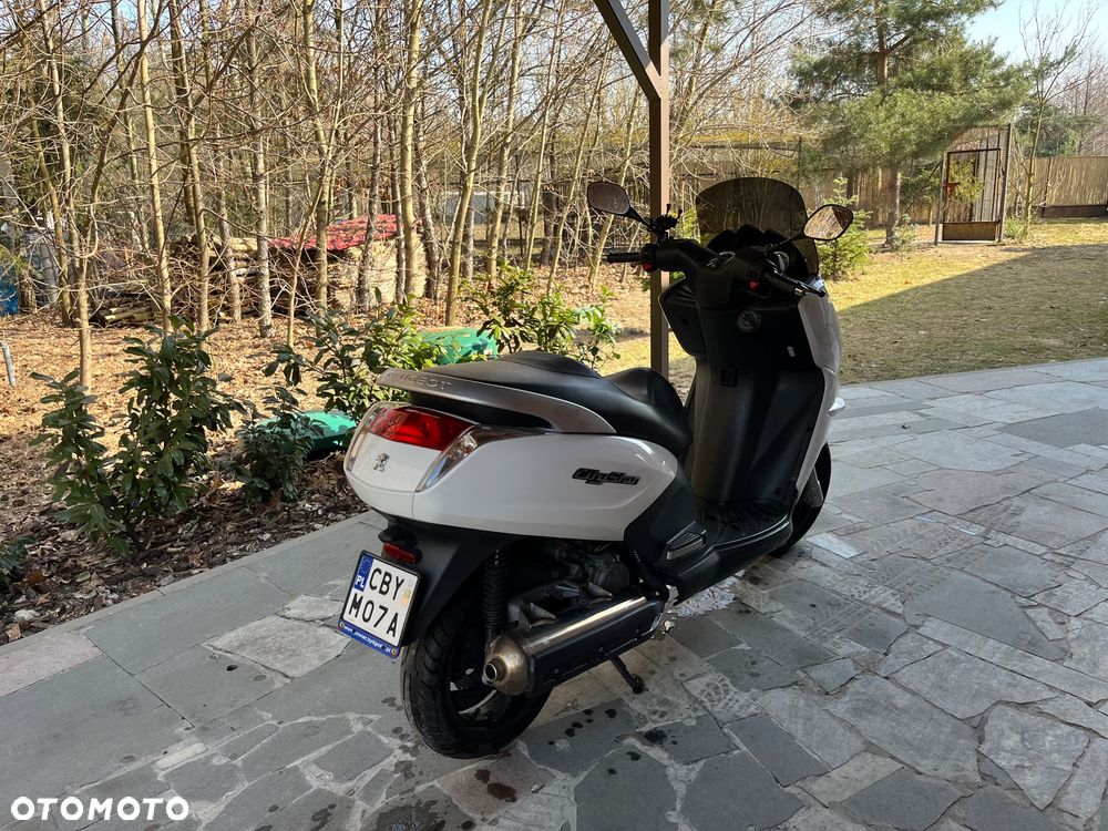 Peugeot Citystar - 6