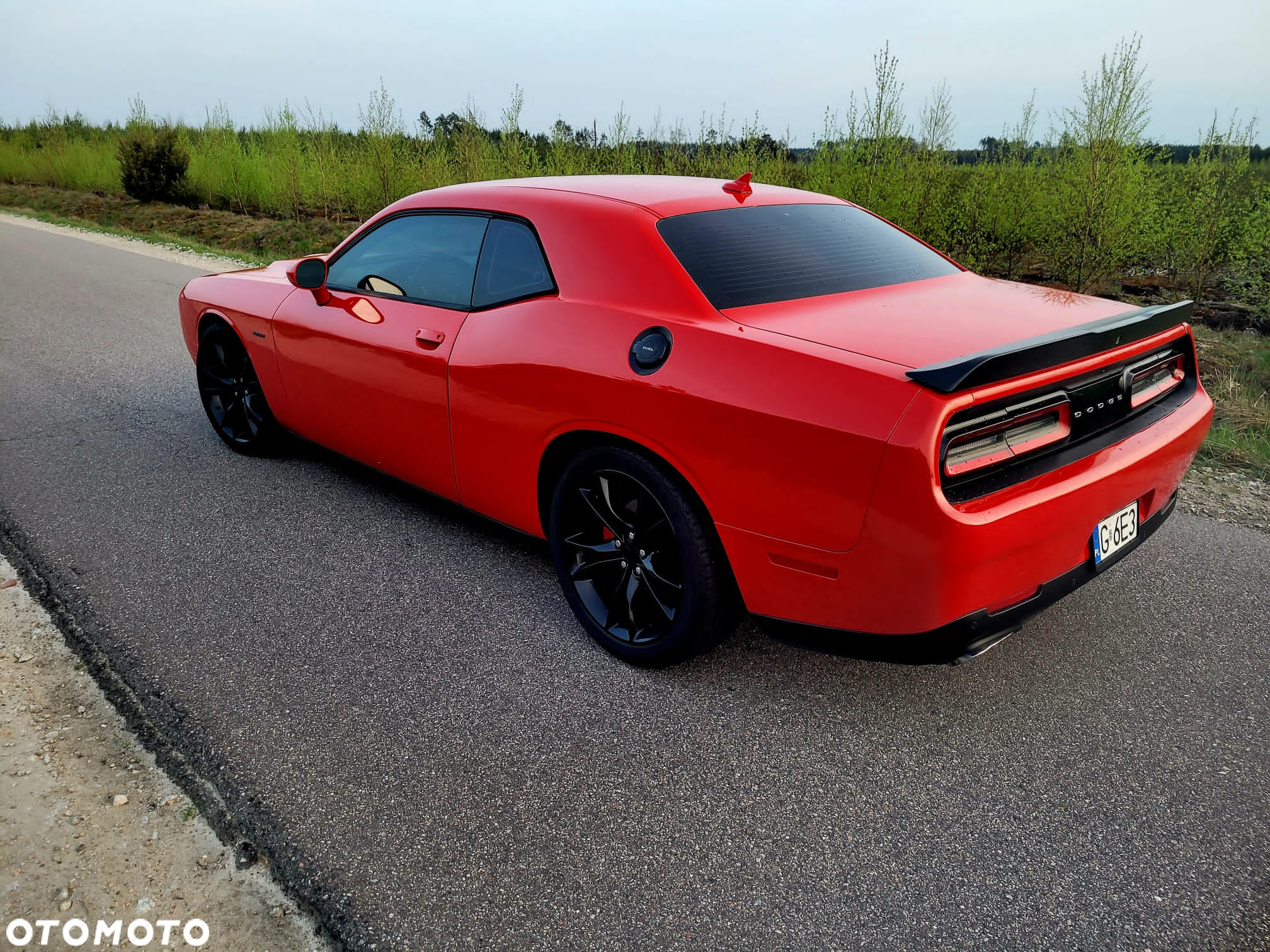 Dodge Challenger Automatik R/T Plus - 6