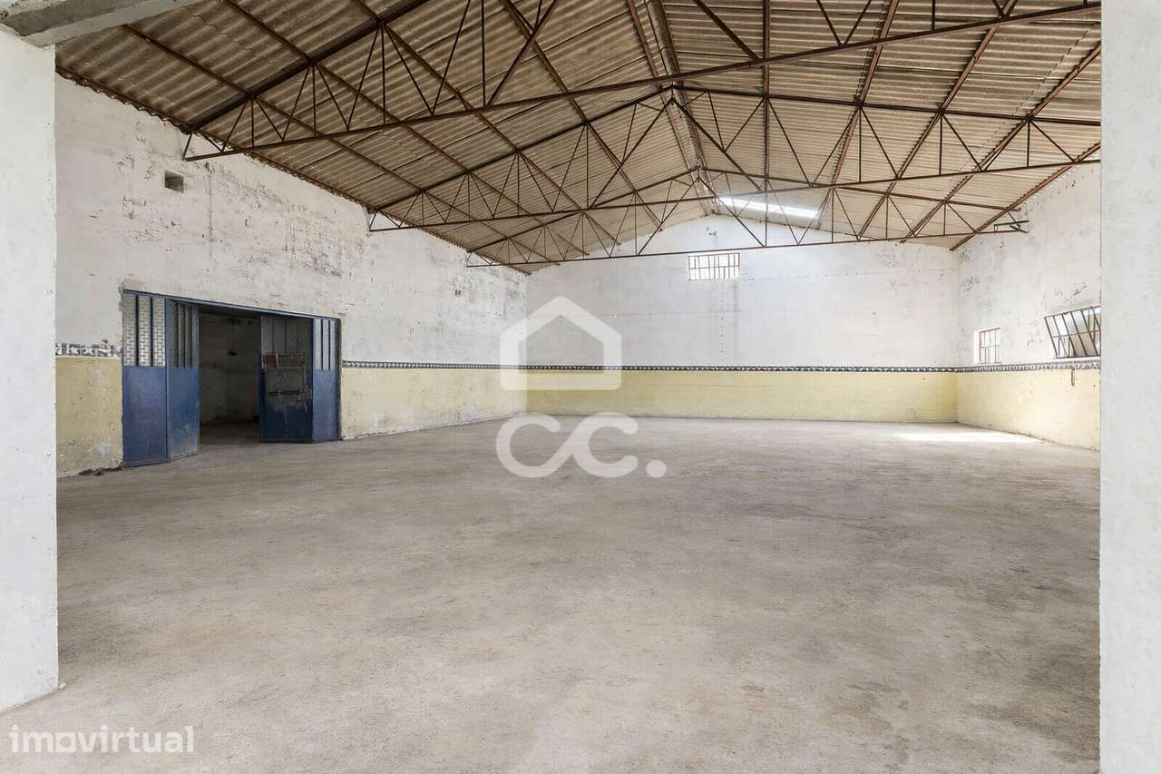 Quinta de 0,6 ha c/ Armazém e Moradia T3 para Recuperar em Arraiolos, - Grande imagem: 5/47