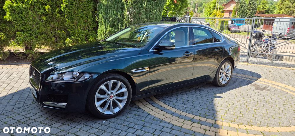 Jaguar XF 30d Prestige - 6