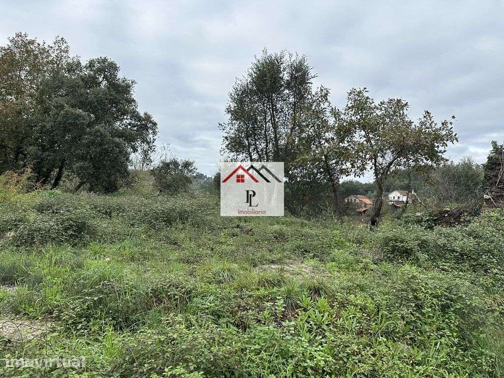 Terreno Misto em Arganil (V812PV) - Grande imagem: 3/5