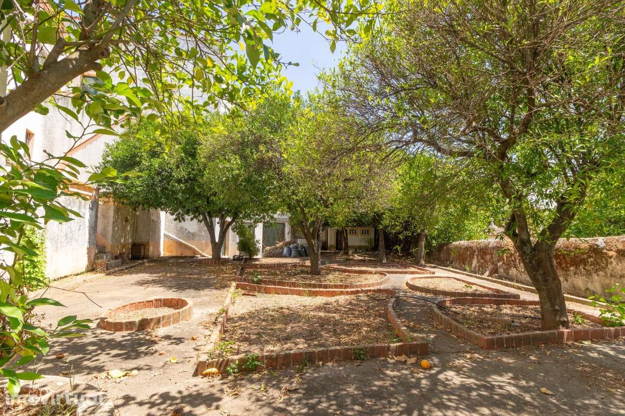 Moradia senhorial com jardim, terraços e garagem no centro histórico d - Grande imagem: 3/40