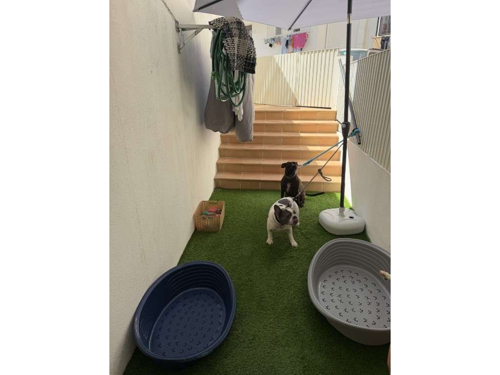 Apartamento T 1+ 1 com pequeno terraço, excelente localização - Grande imagem: 5/20