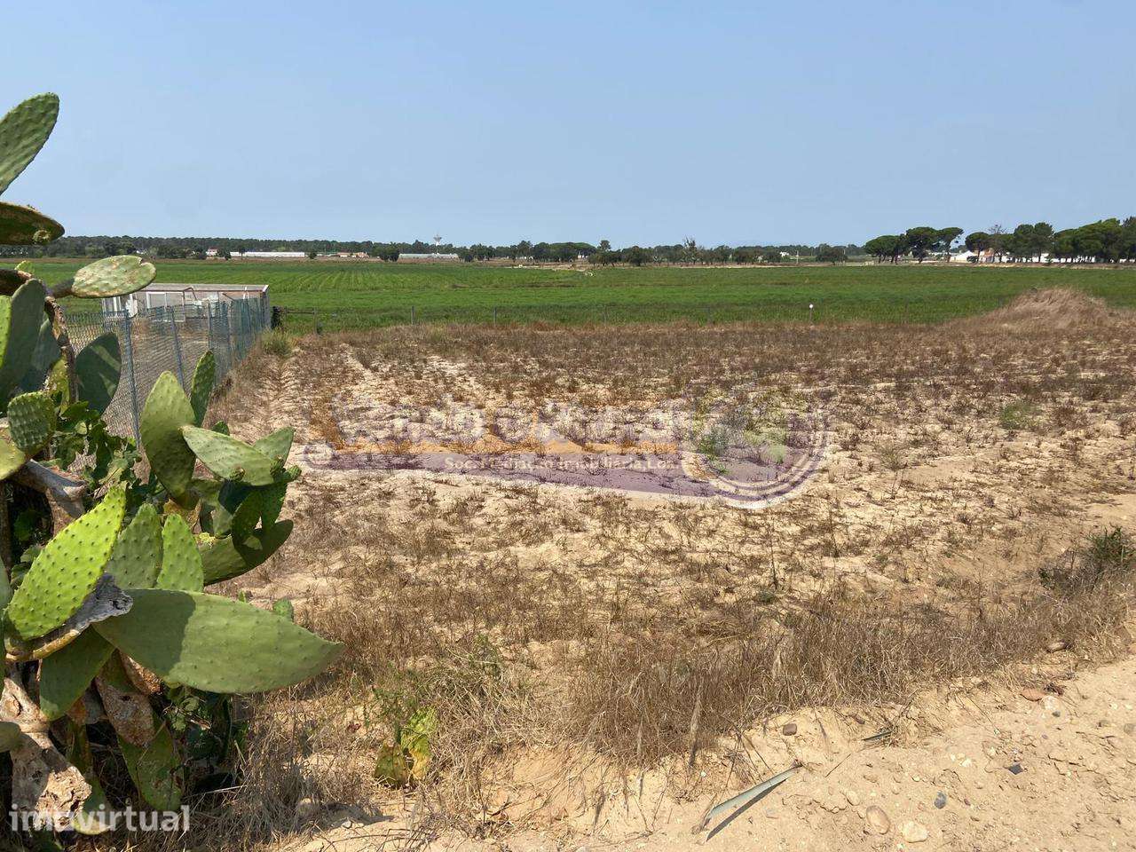 Terreno em Foros de Salvaterra (F844) - Grande imagem: 2/6