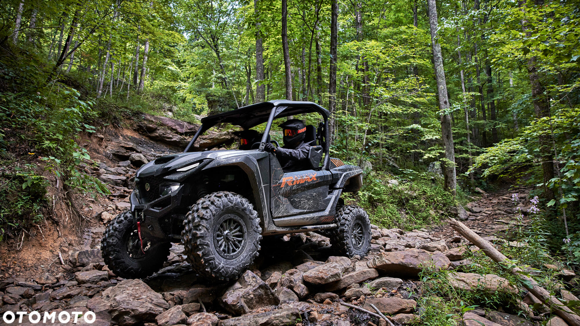 Yamaha Wolverine - 8